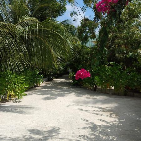 Sunrise Inn Thoddoo Exterior photo